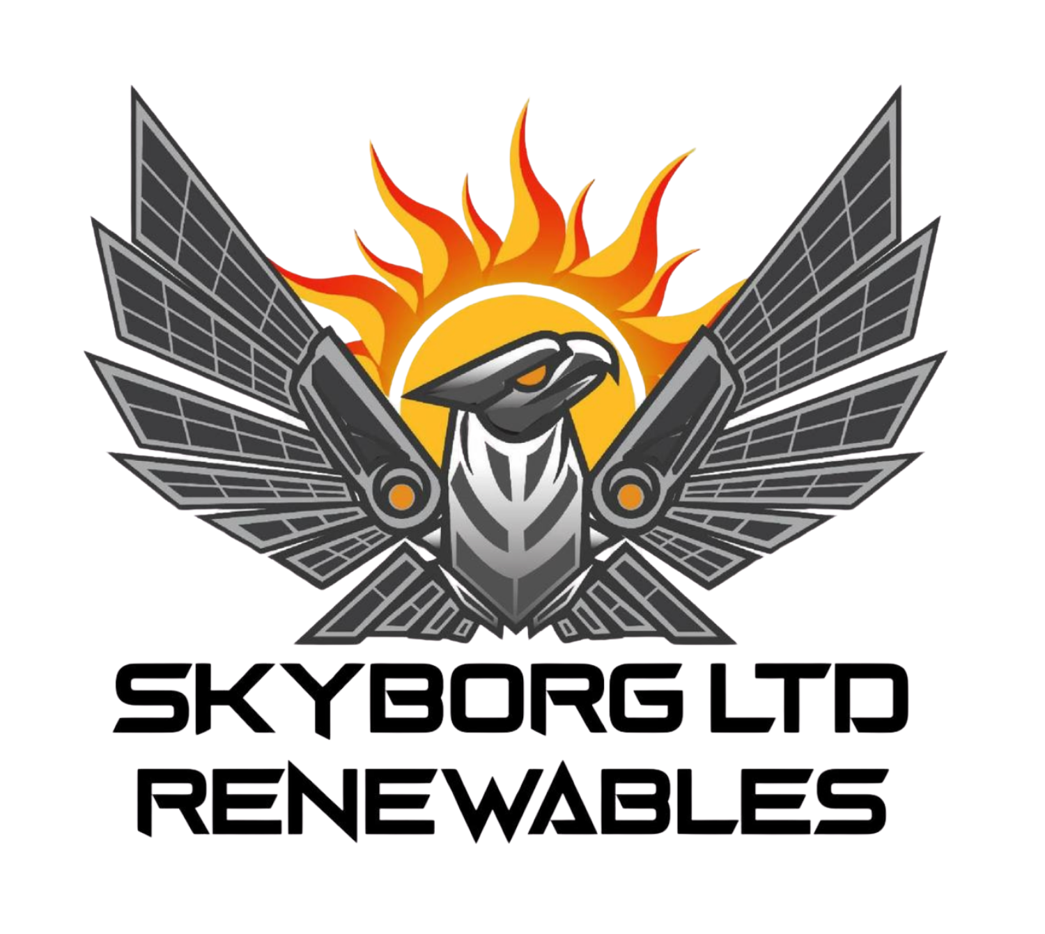skyborg renewals